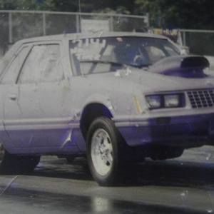 Meet your Posher, Lamont